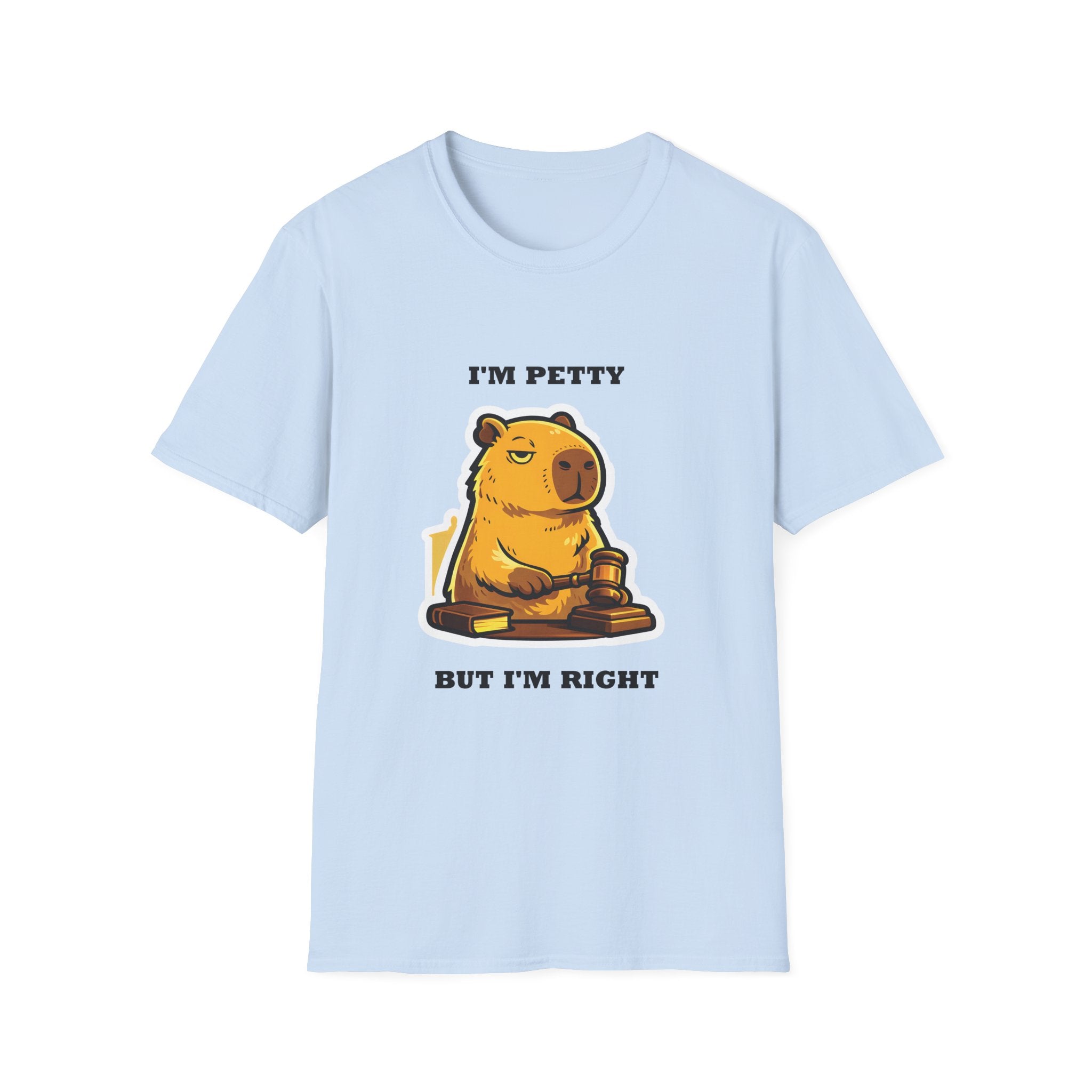 I'm Petty but I'm Right T-Shirt