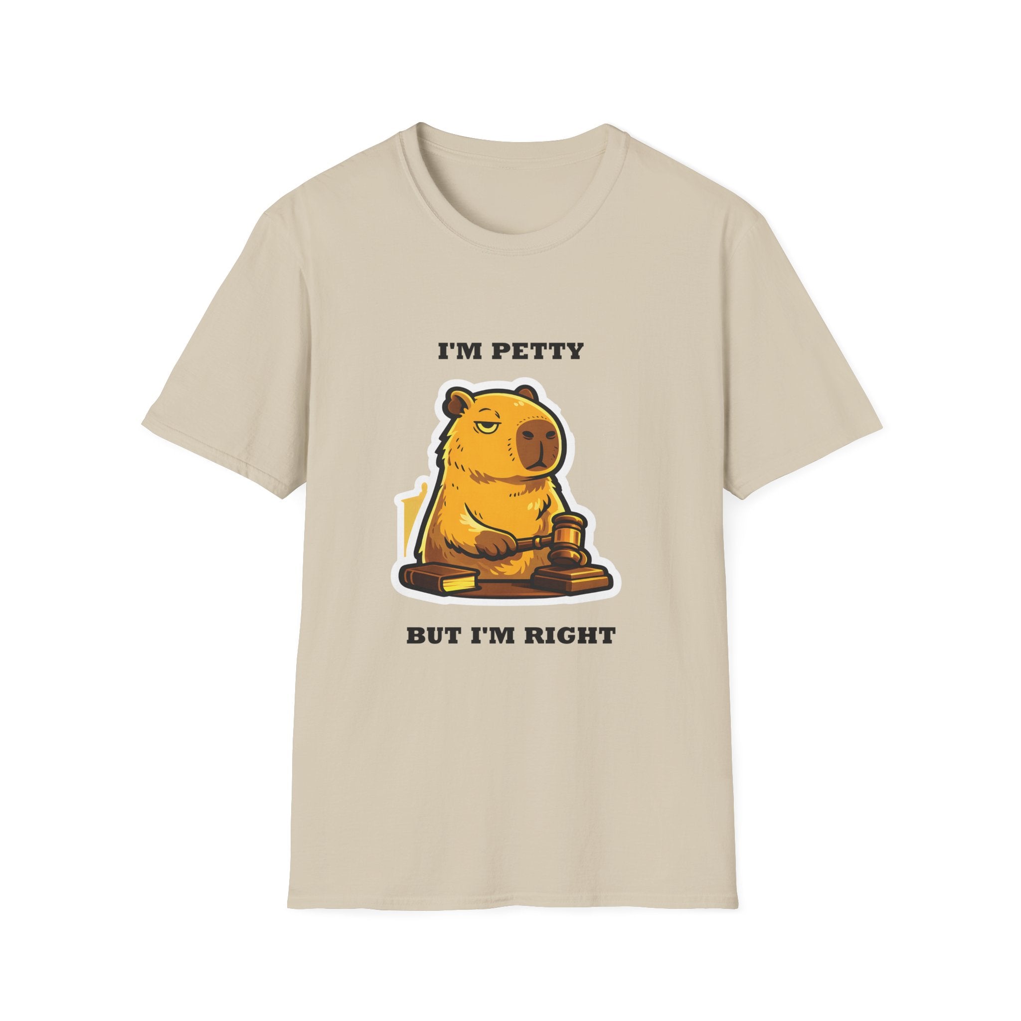 I'm Petty but I'm Right T-Shirt