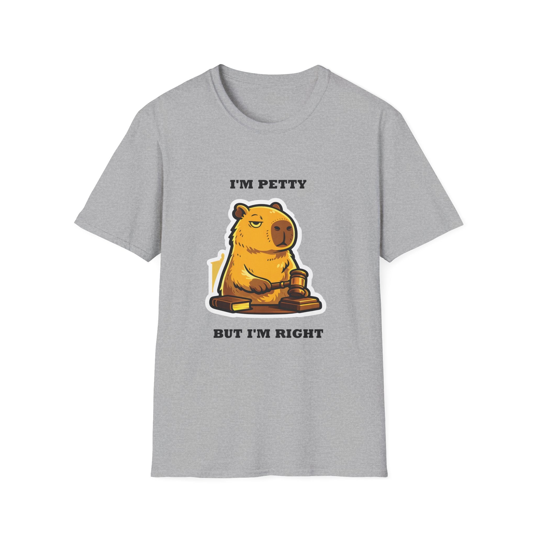 I'm Petty but I'm Right T-Shirt