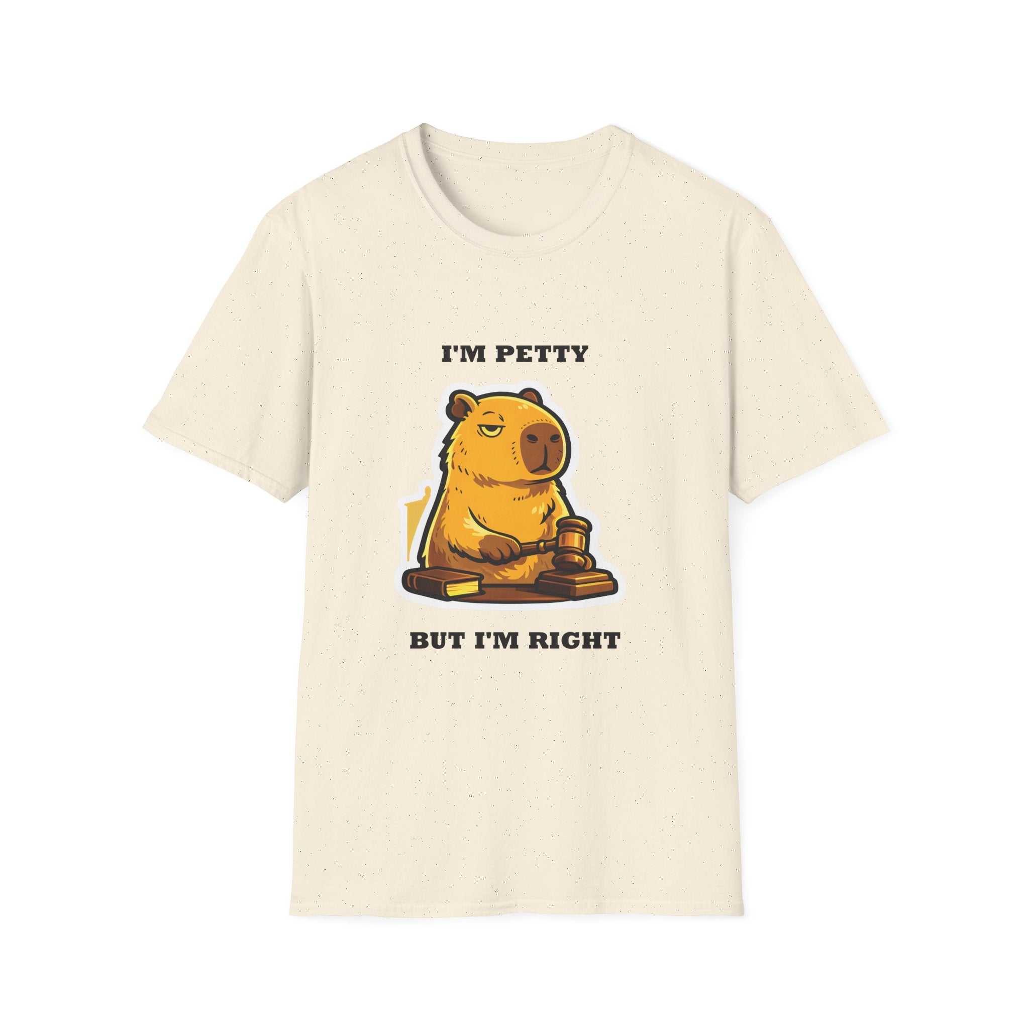 I'm Petty but I'm Right T-Shirt